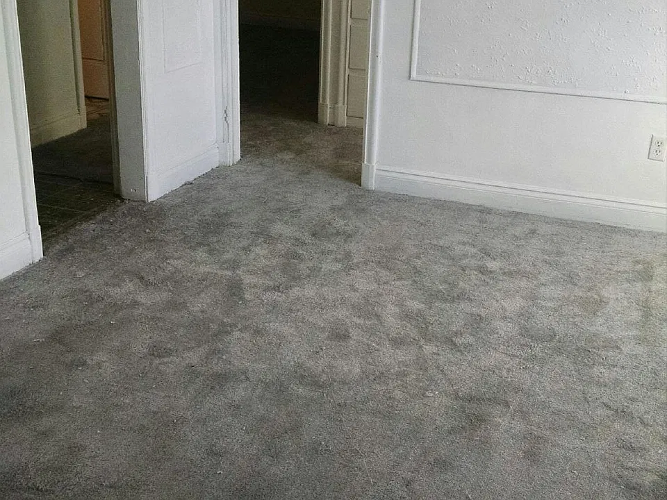 Dinning room