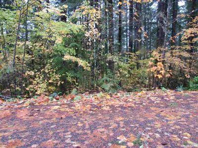 305 N Butte St Lot 47, Detroit, OR, 97342