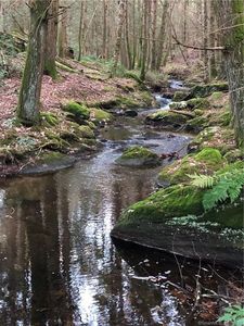 65 Meyers Road, Terryville, CT, 06786