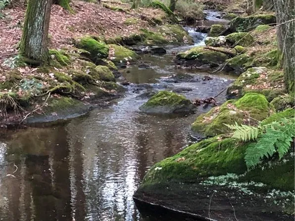 65 Meyers Road, Plymouth, CT 06786