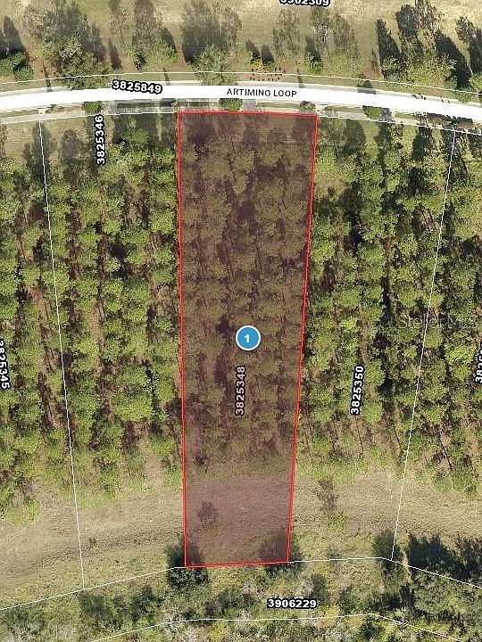 1st image of 16748 ARTIMINO LOOP LOT 28