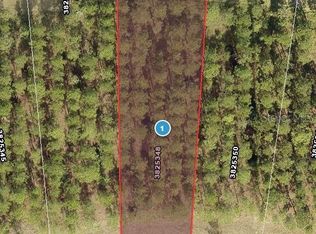 16748 Artimino Loop LOT 28, Montverde, FL 34756