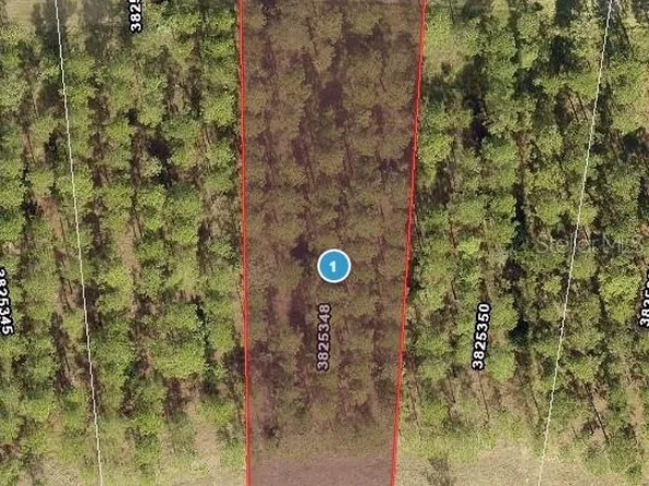 16748 Artimino Loop Lot 28, Montverde, FL 34756