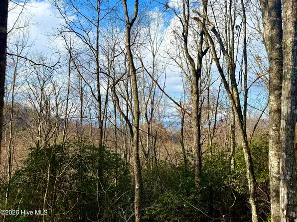00 Ridgeline Drive, Brasstown, NC 28902