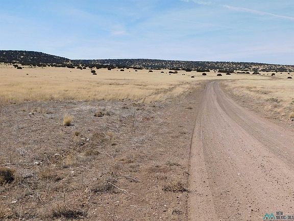 4th image of 146 Quail Rd