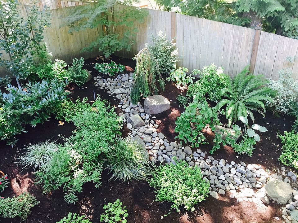Backyard Garden