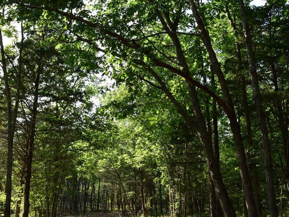 0 Snail Shell Cave Rd, Rockvale, TN 37153 Zillow