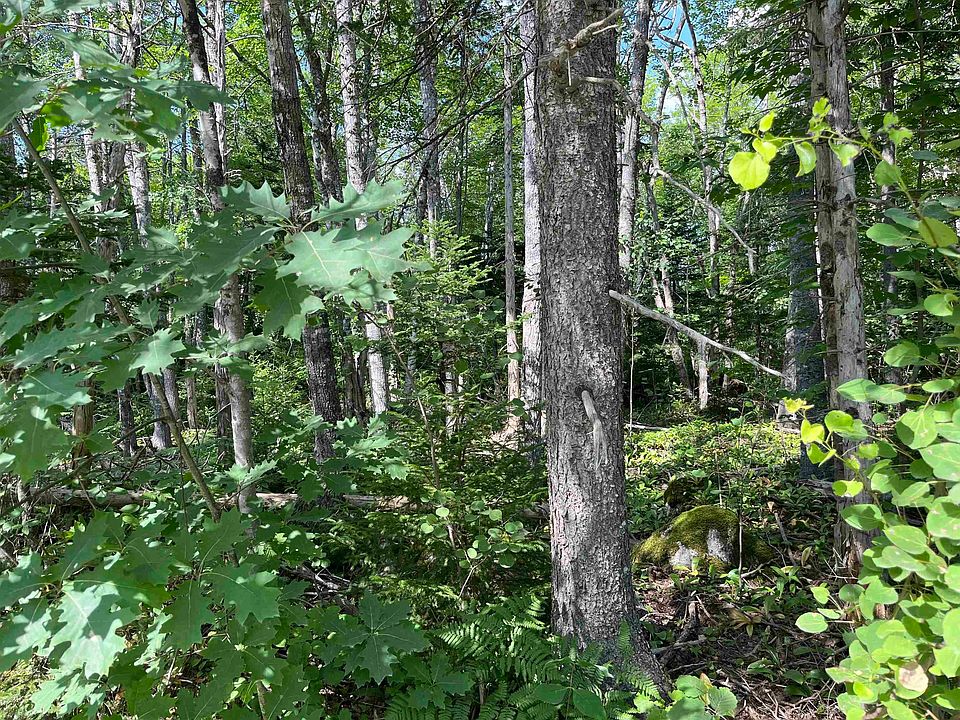 2nd image of LOT 7 Butler Rd #7