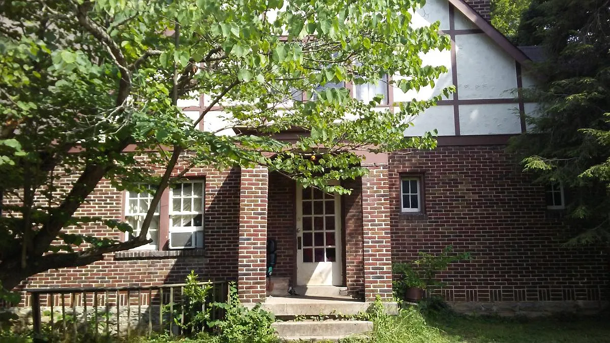 1 bed, 800 sqft, $1,150 — Photo 2
