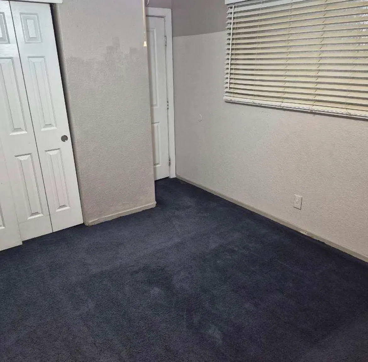 1 bed, $980 — Photo 4