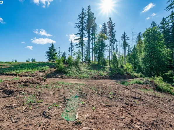 0 S Silver Lake Rd #1, Castle Rock, WA 98611