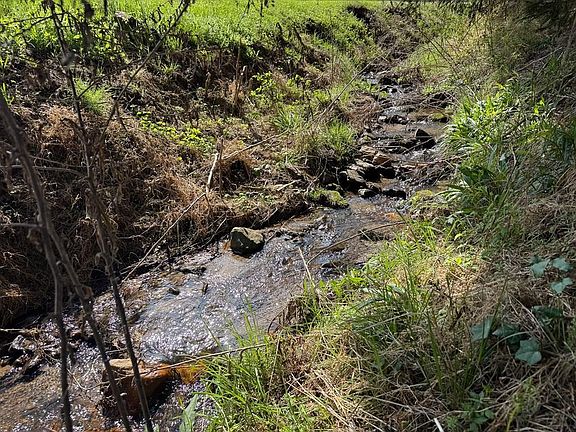 2nd image of 2950 River Rd