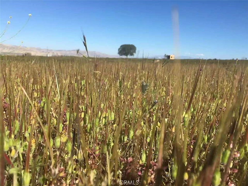 2nd image of 1900 Wasioja Rd