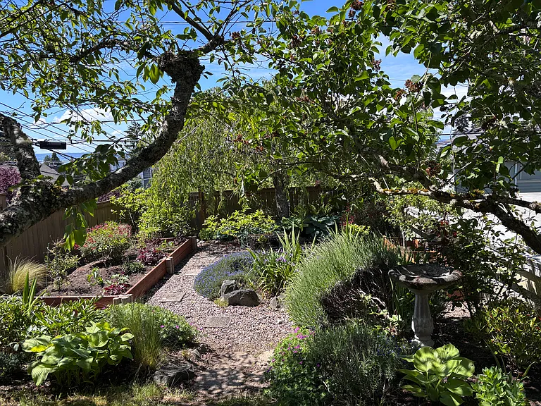 More shared backyard gardening area