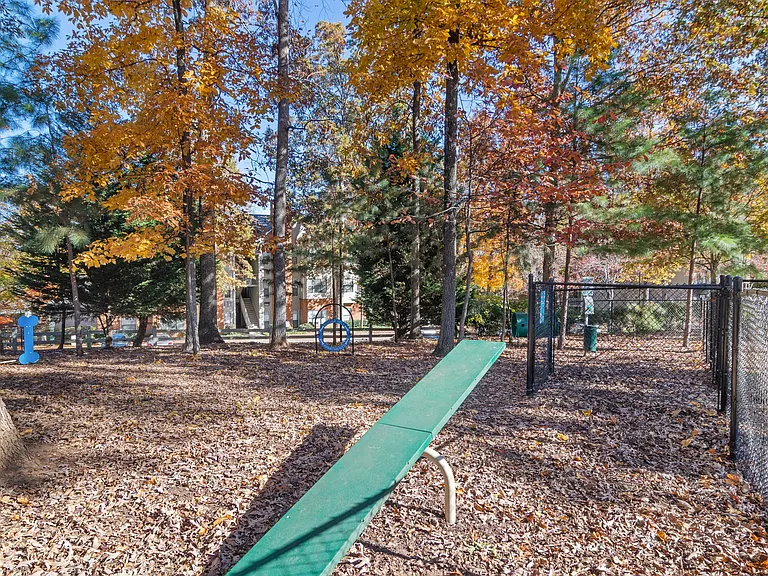 Communal Dog Park