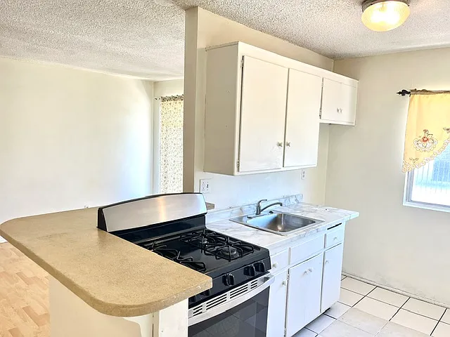 311 W Guinida Ln — Photo 5