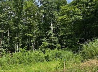 20 Maggies Ln, Asheville, NC 28803
