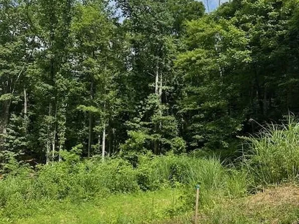 20 Maggies Ln, Asheville, NC 28803