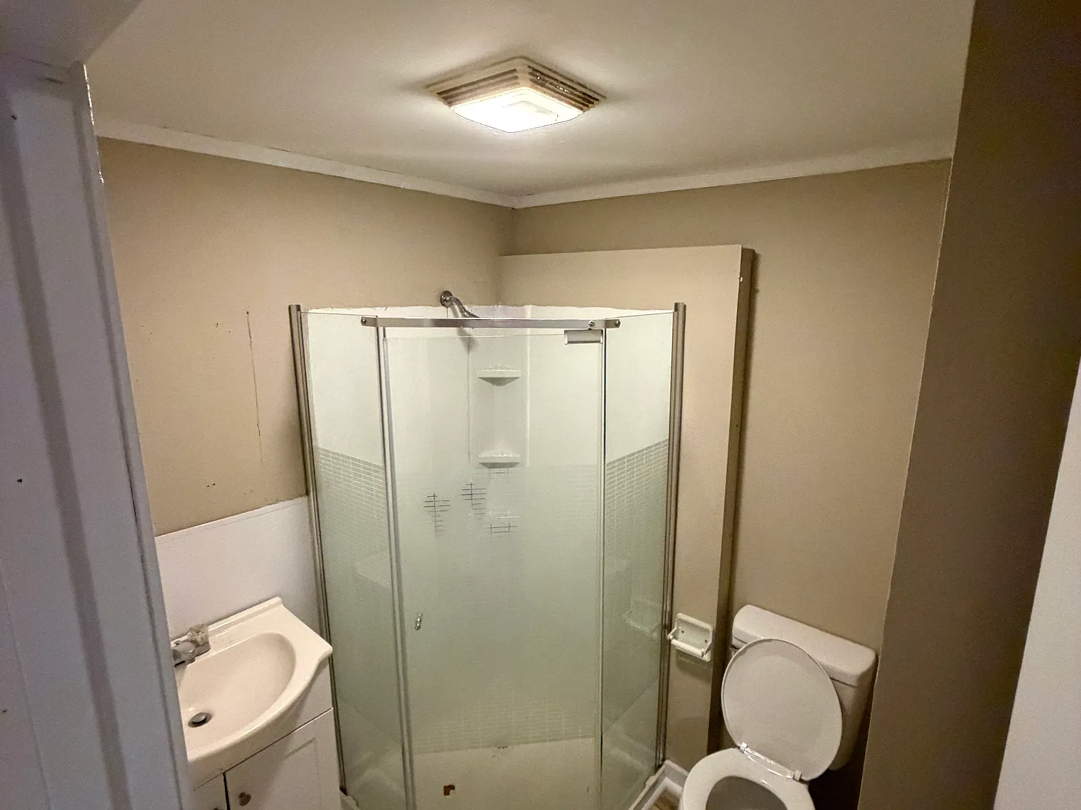 1 bed, 800 sqft, $1,250 — Photo 3