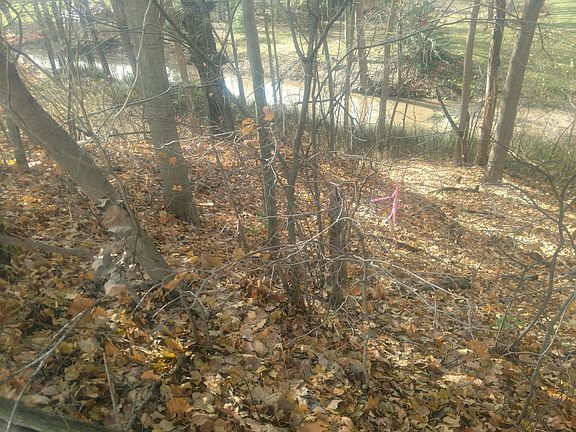 3rd image of 4154 Meyer Dr