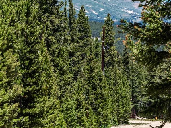 176 Gold Trail Circle, Fairplay, CO 80440