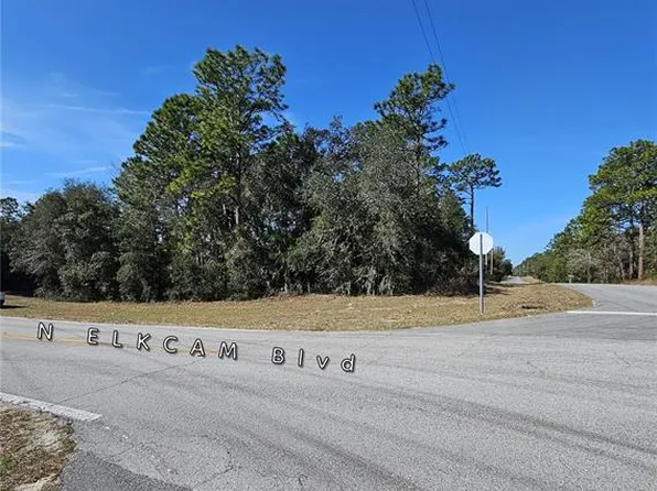 2914 W Naegelia Pl #10, Dunnellon, FL 34434