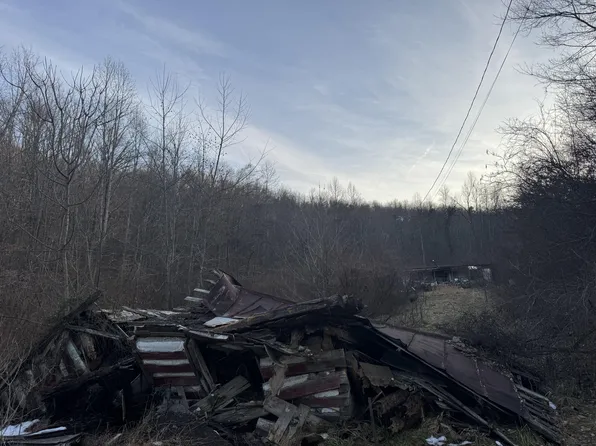 911 Shingles Branch Rd, East Lynn, WV 25512