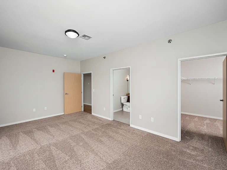 Spacious carpeted room featuring a modern light fixture, with access to a bathroom and a large walk-in closet. Spacious carpeted room featuring a modern light fixture, with access to a bathroom and a large walk-in closet.