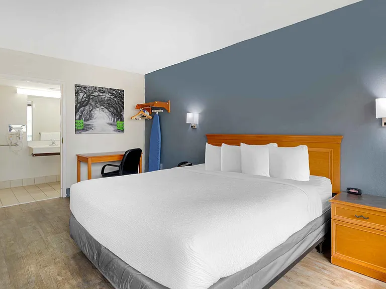 Studio Suite - 1 King Bed