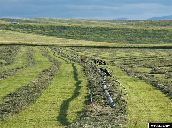 84 Barkey Draw, Buffalo, WY 82834