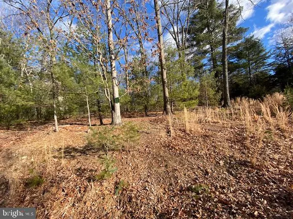 21 Slate Rock Pass Rd, Wardensville, WV 26851