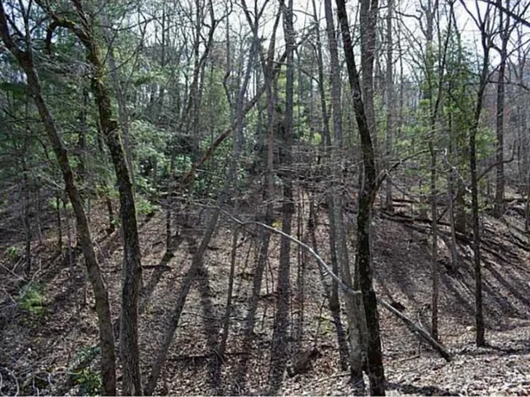 2569 Wilderness Pkwy Lot 2569, Jasper, GA 30143