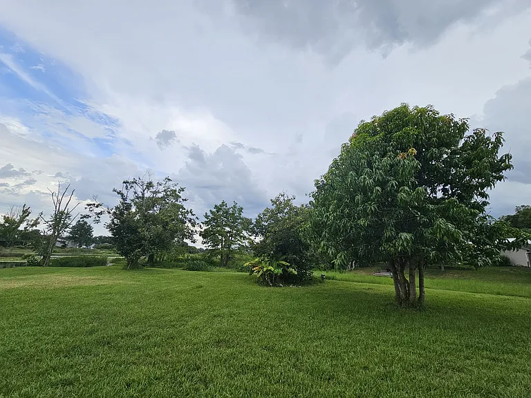 8201 Shay Lynn Ct — Photo 18
