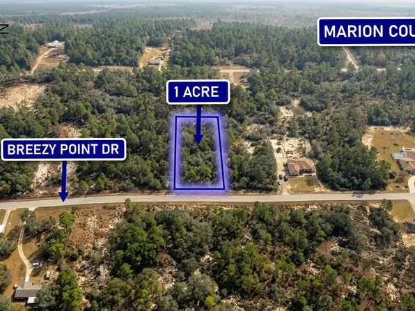 0000 Breezy Point Drive, Dunnellon, FL 34431