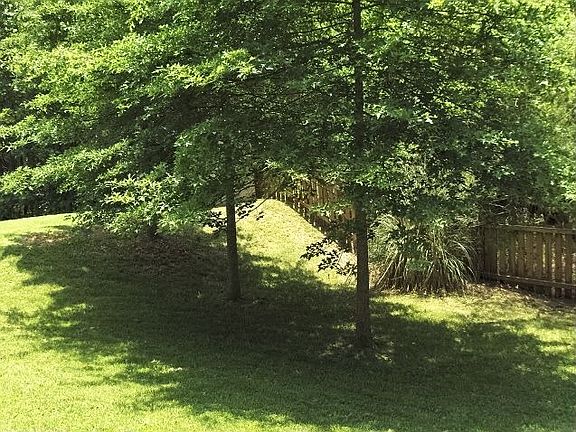 Part of the back yard