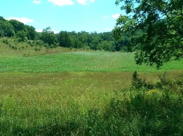 1112 Stony Hill Rd, Winchester, VA 22603