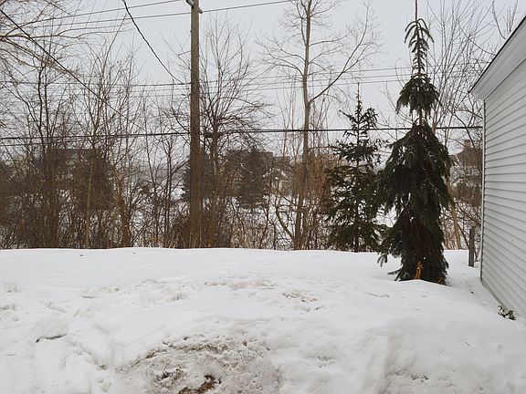 Winter's back view