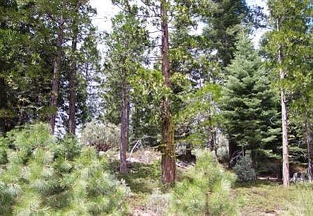 1st image of Phase 1 Lot 23
