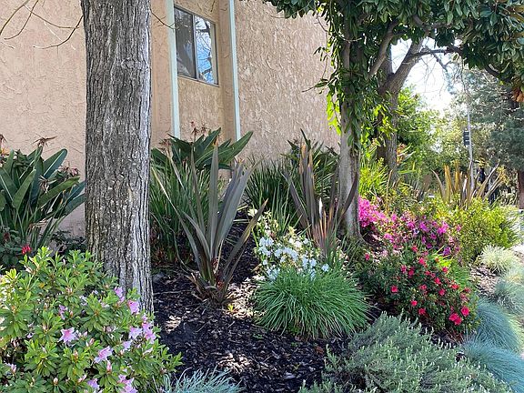 4th image of 1425 E Orange Grove Blvd APT 15
