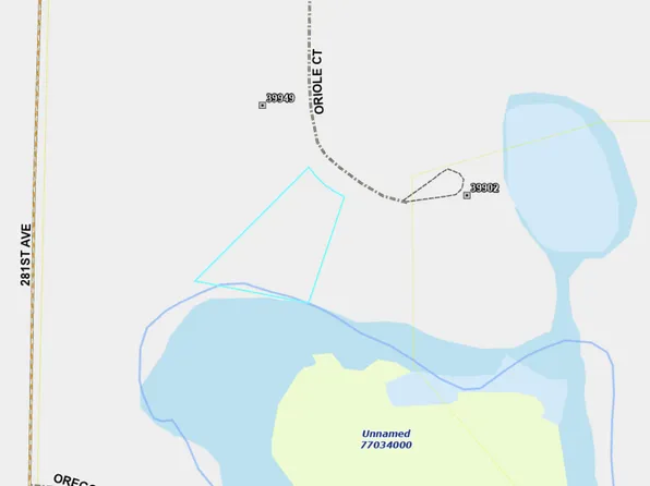 399XX Oriole Ct, Browerville, MN 56438