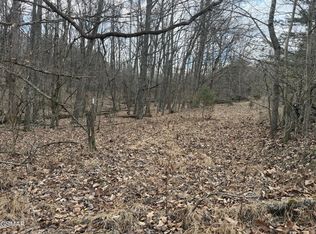 4 Pilgrim Rd, Dandridge, TN 37725