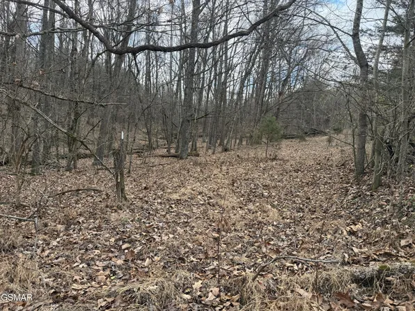 4 Pilgrim Rd, Dandridge, TN 37725