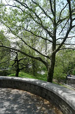 Rented by Citi Habitats | media 28