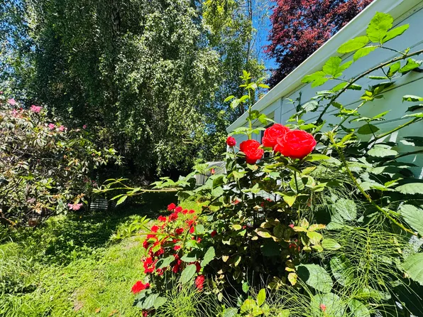 369 H St, Arcata, CA 95521