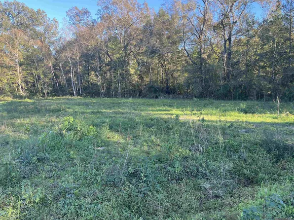 1113 Holly Dr, Slaughter, LA 70777