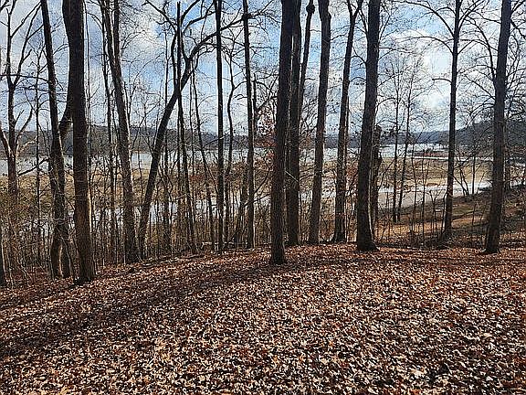 2nd image of 291 Maxine Nelson Rd