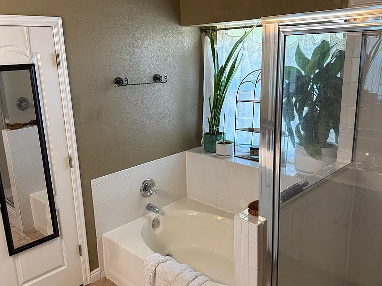 Master bathroom shower and tub