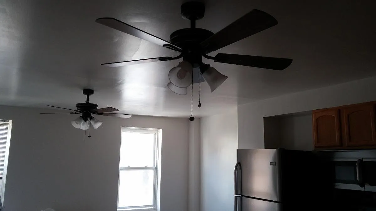 3 bed, 1.5 bath, 150 sqft, $800 — Photo 4