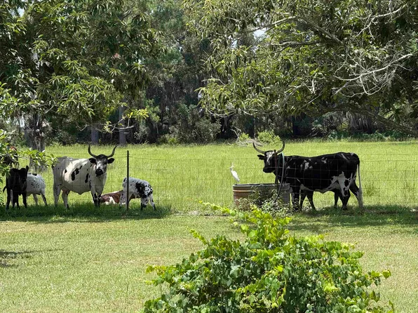 916 SW County Road 360, Madison, FL 32340
