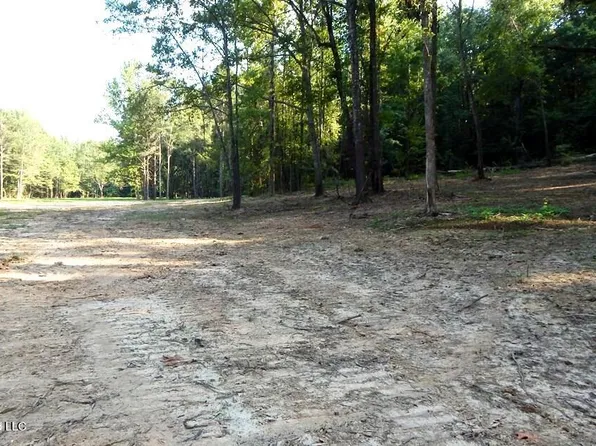 499 Kimes Cv, Sardis, MS 38666